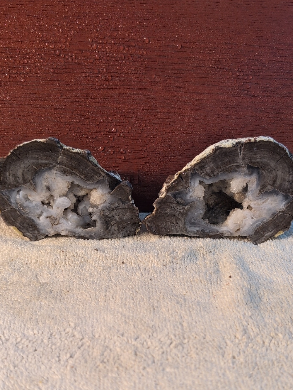 Blue Star Thunderegg #14